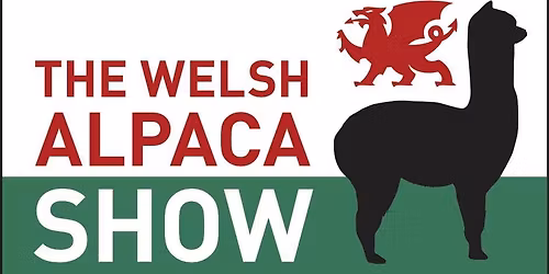 Welsh Alpaca Show