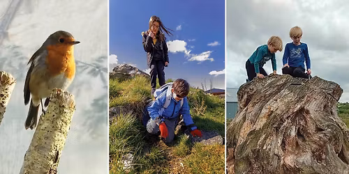 Wildlife Walks for families at Quince Honey Farm