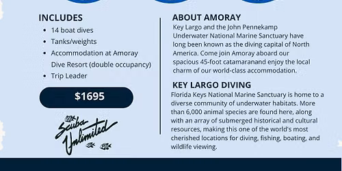 Florida Keys Dive Adventure 