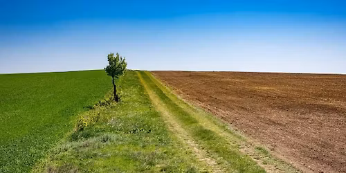 Motiva\u010dn\u00e9 rozhovory v praxi