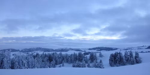 Winter Solstice Stroll