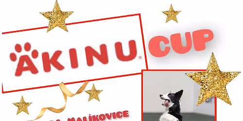 Akinu Cup - ofici\u00e1ln\u00ed z\u00e1vod dogdancingu