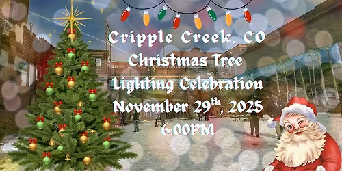 Christmas Tree Lighting Celebration