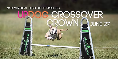 UpDog Crossover Crown 2026