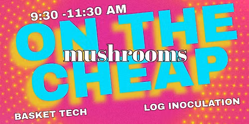 Mushrooms on the Cheap - July