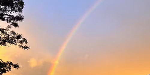 Trout Lake Pottery Club Semi-Annual Pottery Sale