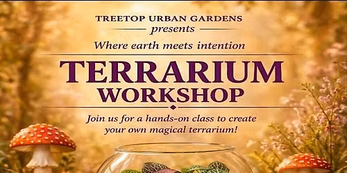 Terrarium Workshop