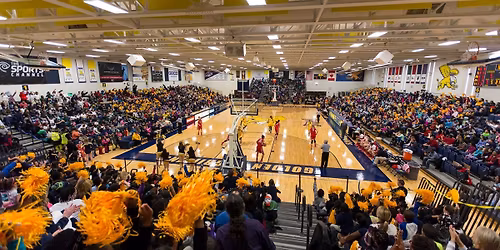 Parking Niagara Purple Eagles at Canisius Golden Griffins Mens Hockey