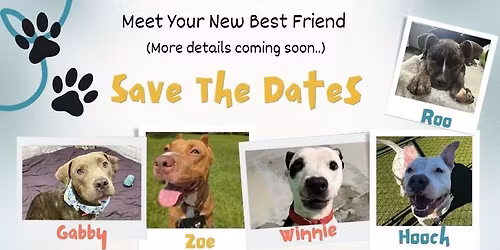 D5 Ferndale Project Adoption Event!