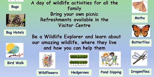 Nature Quest Day at Rodley Nature Reserve