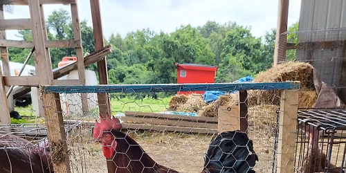 Saturday at the CPA & Consignment Auction