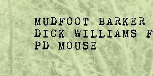 Mudfoot Barker, Dick Williams Folk and PD Mouse at The 331.