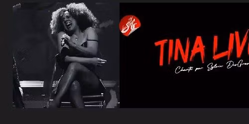  Sylvie Desgroseilliers ( Hommage Tina Tuner)  au Quai en f\u00eate