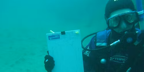 Seasearch Surveys 28 July 2026 (2103 + 37040)