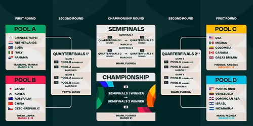 World Baseball Classic: Quarterfinal 1