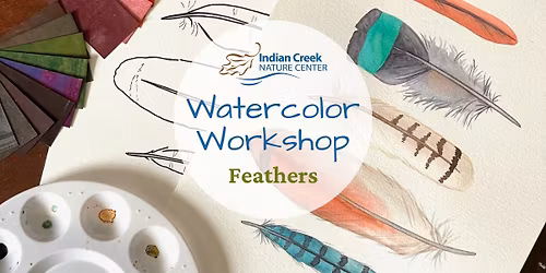 Watercolor Workshop: Feathers
