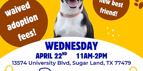 Hollywood Feed Adoption Event