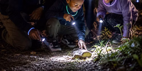 Glow-in-the-Dark Scavenger Hunt