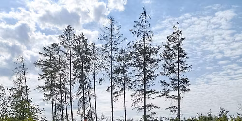 Unge\/voksen camp i S\u00f8nderjyllands Horse Park 1.-2. august 2026