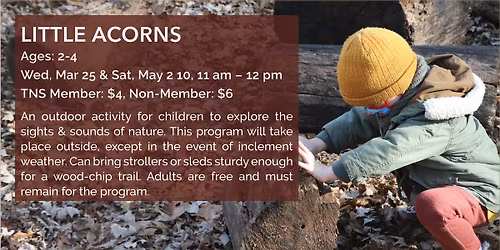 Little Acorns for Ages: 2-4