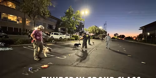 Thursday Group Dog Obedience Class - All levels welcome!