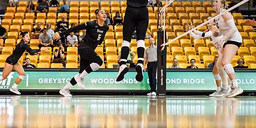 Towson Volleyball vs. William & Mary