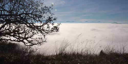 Hike: North Bank Habitat