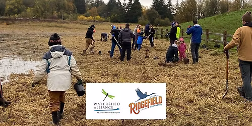 Planting in Ridgefield - FULL