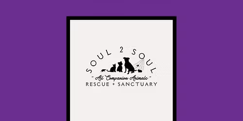 November 2025 Volunteer Meeting