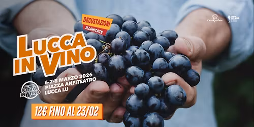 LUCCA IN VINO
