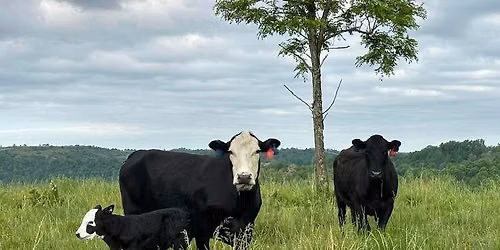 Cattlemen\u2019s meeting