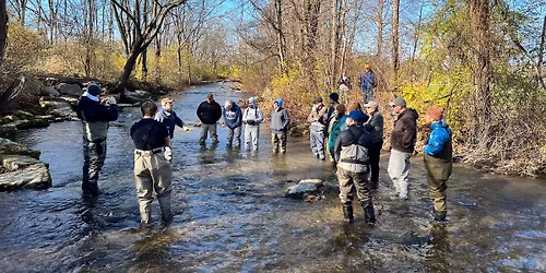 Spring Creek Redd Count