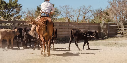STAGE RANCH ROPING DEBUTANT 