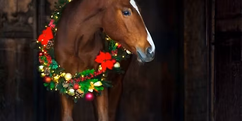 TWRC Xmas Dressage Show