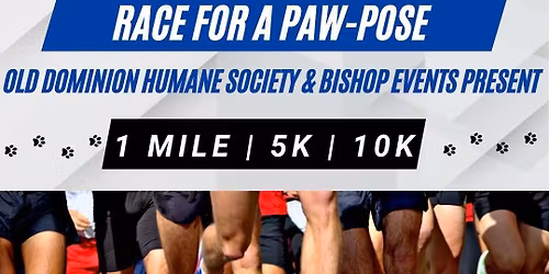 FredVegas Turkey Trot