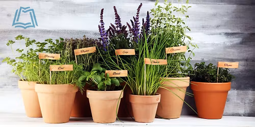 Spice of Life: Growing Herbs