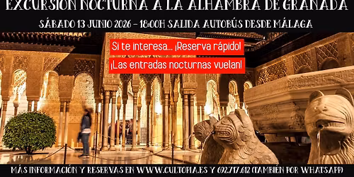 Excursi\u00f3n nocturna a la Alhambra de Granada