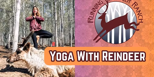 Fly and Flow - Yoga with Reindeer