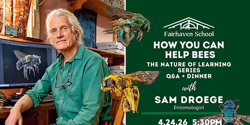 The Nature of Learning Q&A + Dinner