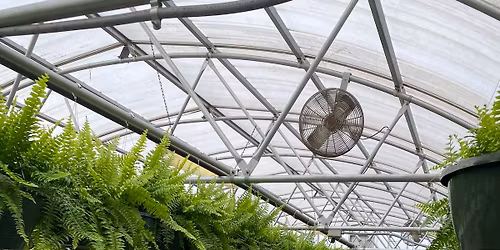 Smyrna FFA Plant Sale