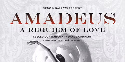 AMADEUS - A requiem of Love
