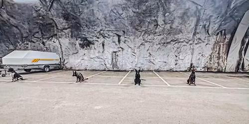 DOBBELTSTEVNE LYDIGHET