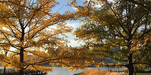 Fall Birding with Gabriel Willow