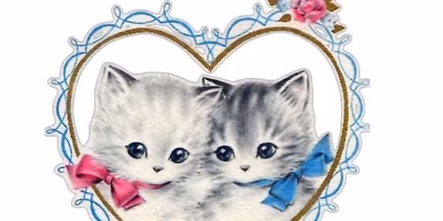 The Kitten Experience!!