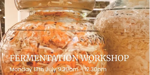 Fermentation Workshop