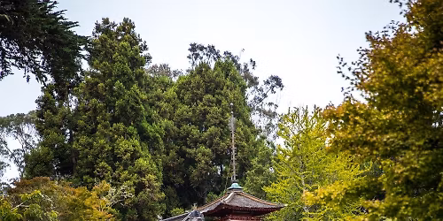 W obj\u0119ciach Yama-uby i inne ba\u015bnie z Dalekiego Wschodu (POZNA\u0143)