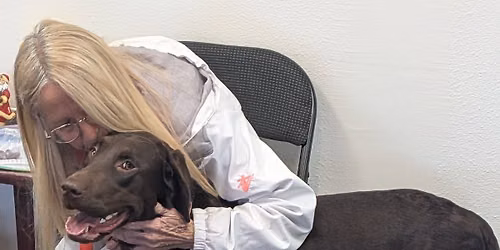 Basic Angels Fun-Bedience Course - Dog Training