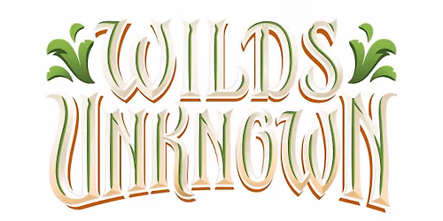 Disney Lorcana Wilds Unknown Set Championships! 