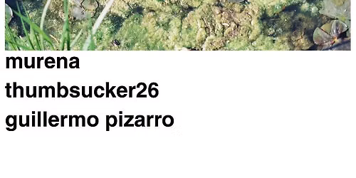 Murena / Thumbsucker26 / Guillermo Pizarro