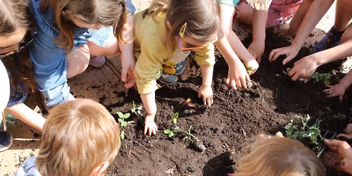 Messy Play Party at Electric Daisy - Julia Donaldson